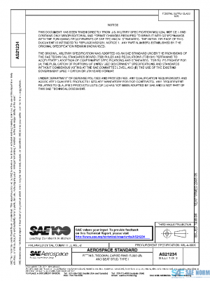 SAE AS21234 PDF