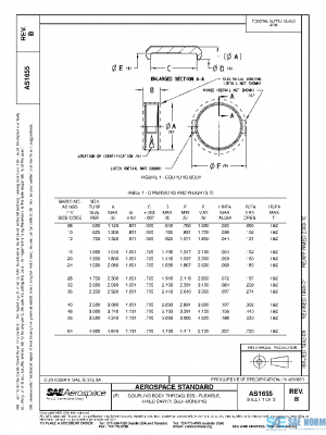 SAE AS1655B PDF