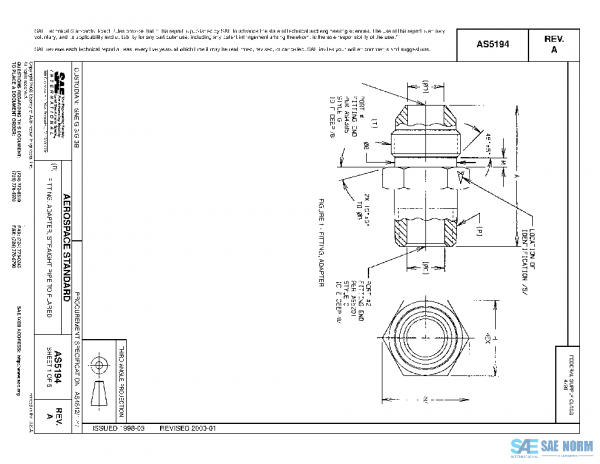 SAE AS5194A PDF