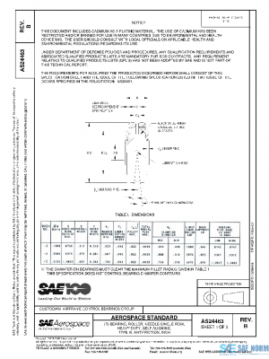 SAE AS24463B PDF