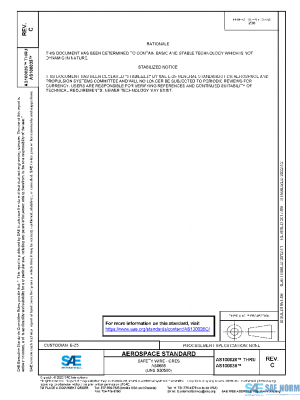 SAE AS100026C PDF