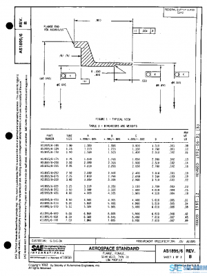 SAE AS1895/6B PDF