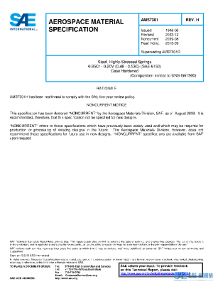 SAE AMS7301H PDF