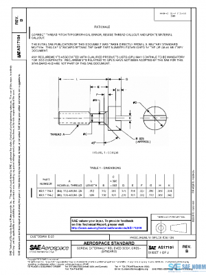 SAE AS17184B PDF