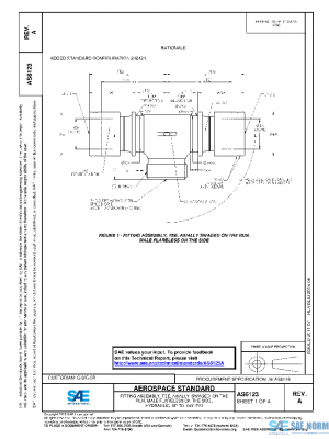 SAE AS6123A PDF
