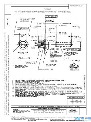 SAE AS3170 PDF