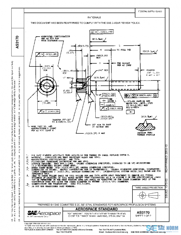 SAE AS3170 PDF