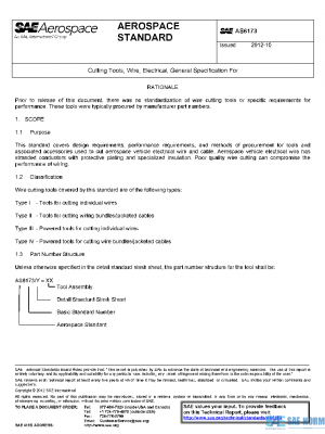 SAE AS6173 PDF