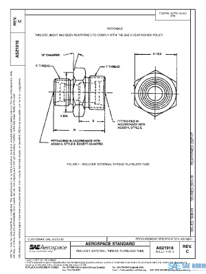 SAE AS21916C PDF