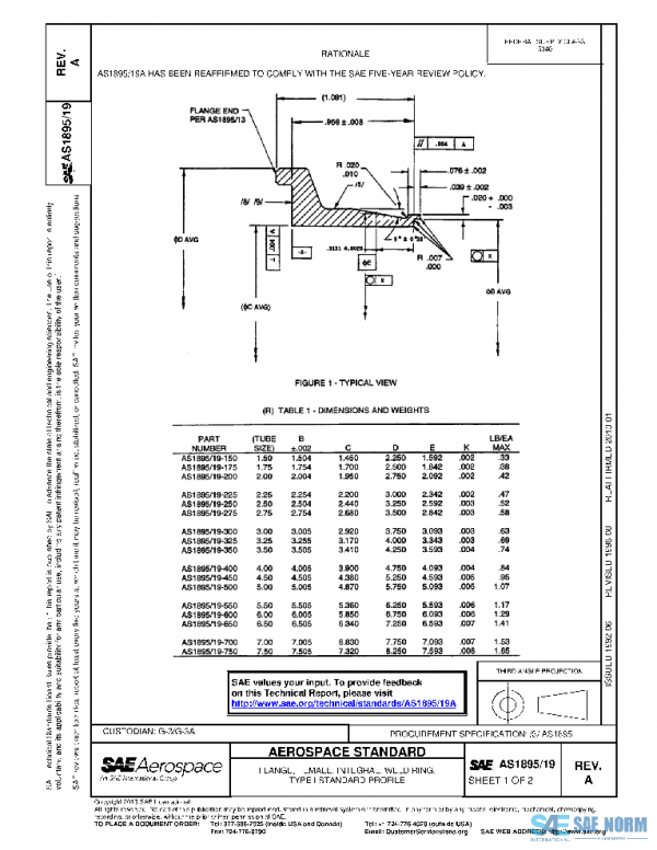 SAE AS1895/19A PDF