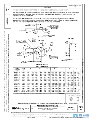 SAE AS9581A PDF