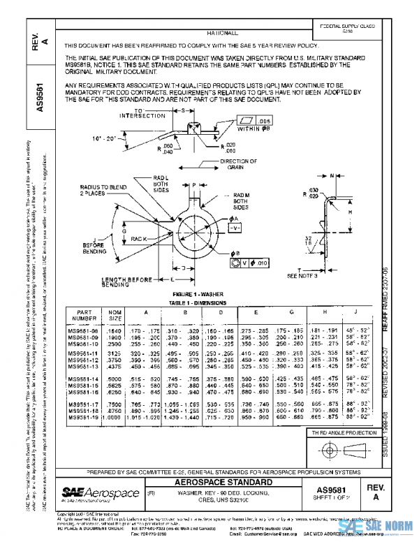 SAE AS9581A PDF