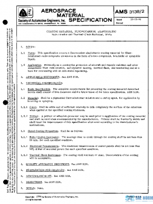 SAE AMS3138/2 PDF