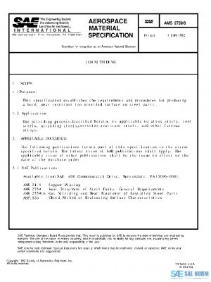 SAE AMS2759/8 PDF