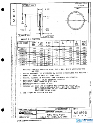 SAE AS1893 PDF