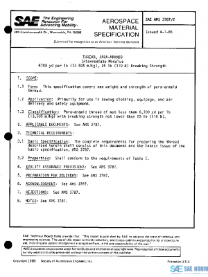SAE AMS3787/2 PDF