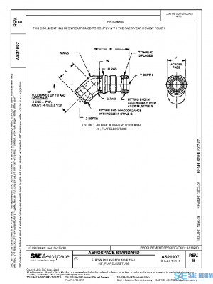 SAE AS21907B PDF