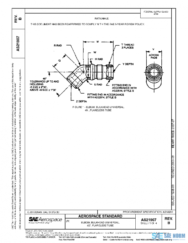 SAE AS21907B PDF