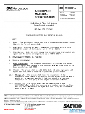 SAE AMS3903/1A PDF