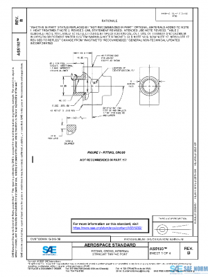 SAE AS5193B PDF