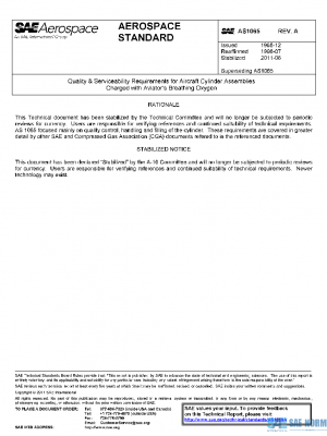 SAE AS1065A PDF