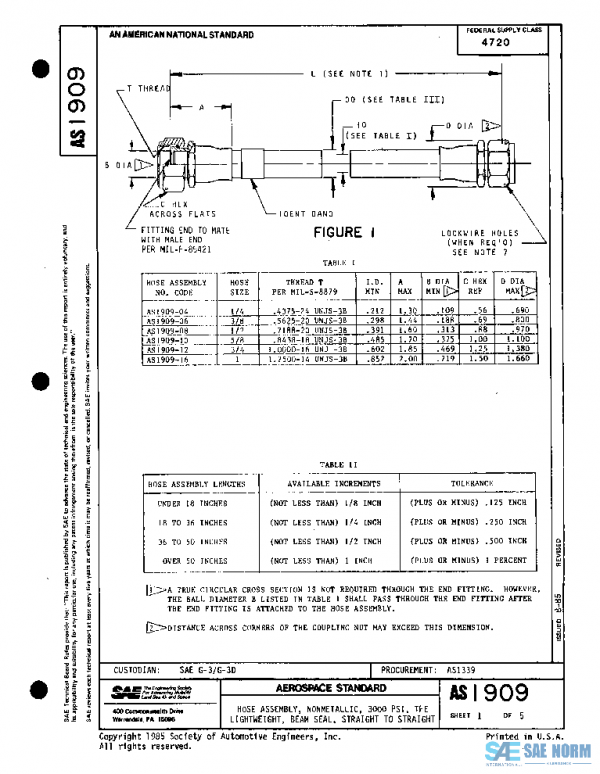 SAE AS1909 PDF