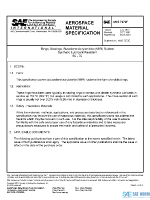 SAE AMS7272F PDF