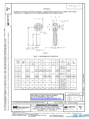 SAE AS21151E PDF