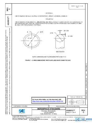 SAE AS29513C PDF