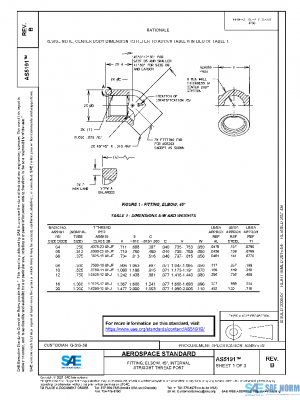 SAE AS5191B PDF