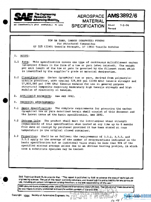 SAE AMS3892/6 PDF