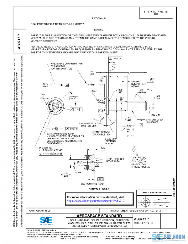 SAE AS9717 PDF
