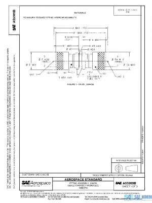SAE AS5969B PDF