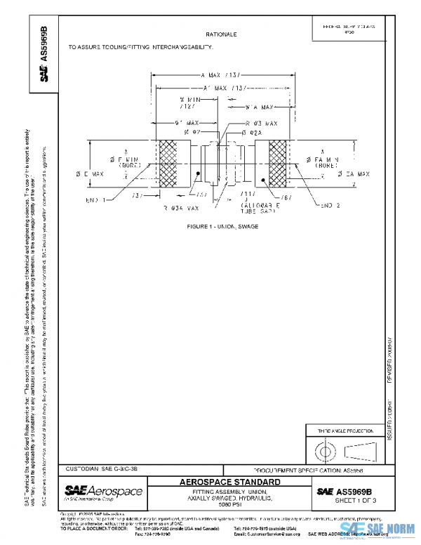 SAE AS5969B PDF