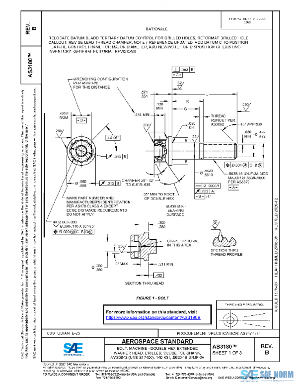 SAE AS3180B PDF
