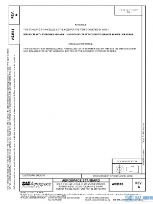 SAE AS3613A PDF