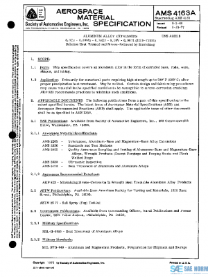 SAE AMS4163A PDF