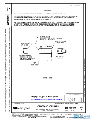 SAE AS91641A PDF