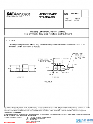 SAE AS5258/1 PDF