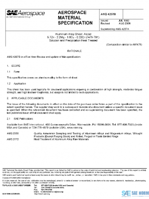 SAE AMS4207B PDF