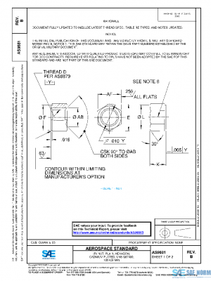 SAE AS9881B PDF