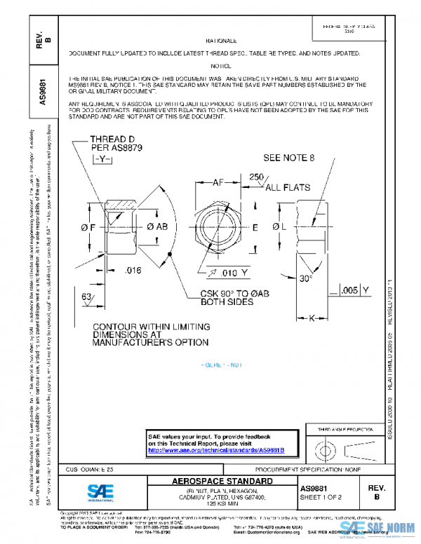 SAE AS9881B PDF