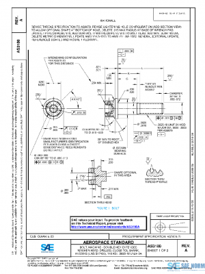 SAE AS3180A PDF
