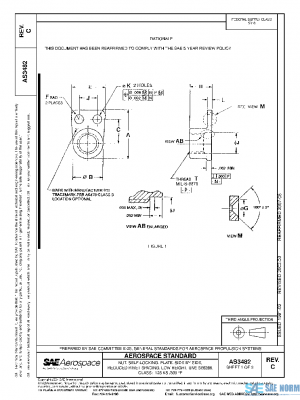 SAE AS3482C PDF