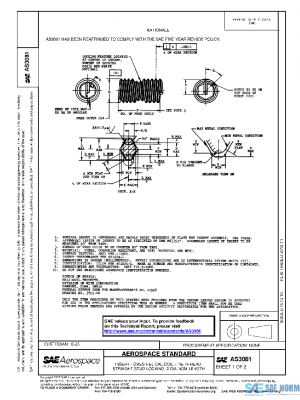 SAE AS3081 PDF