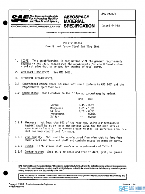 SAE AMS2431/3 PDF