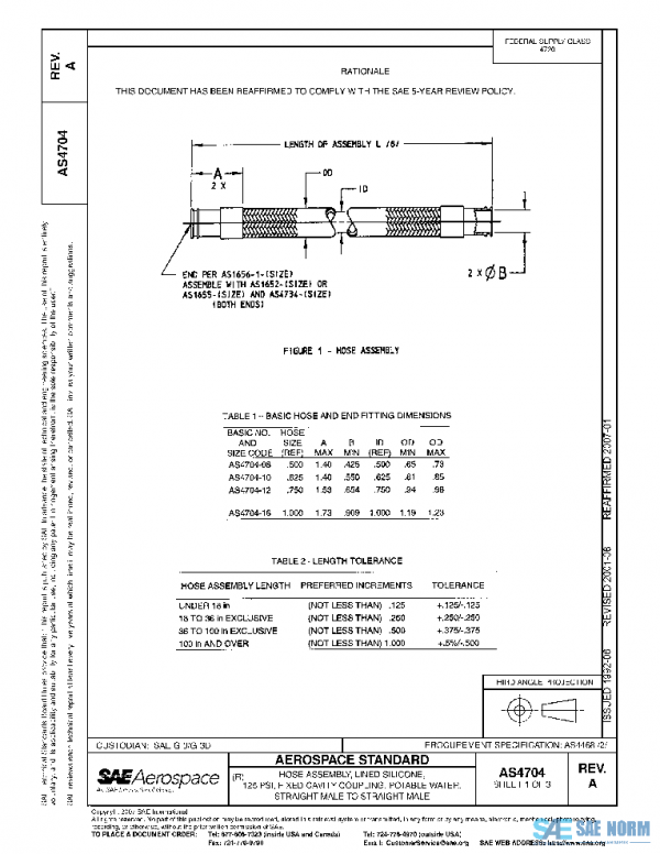 SAE AS4704A PDF