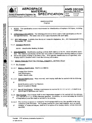 SAE AMS2808B PDF