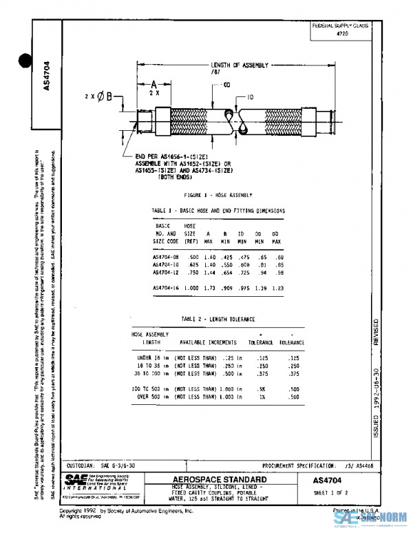 SAE AS4704 PDF SAE AS4704 PDF