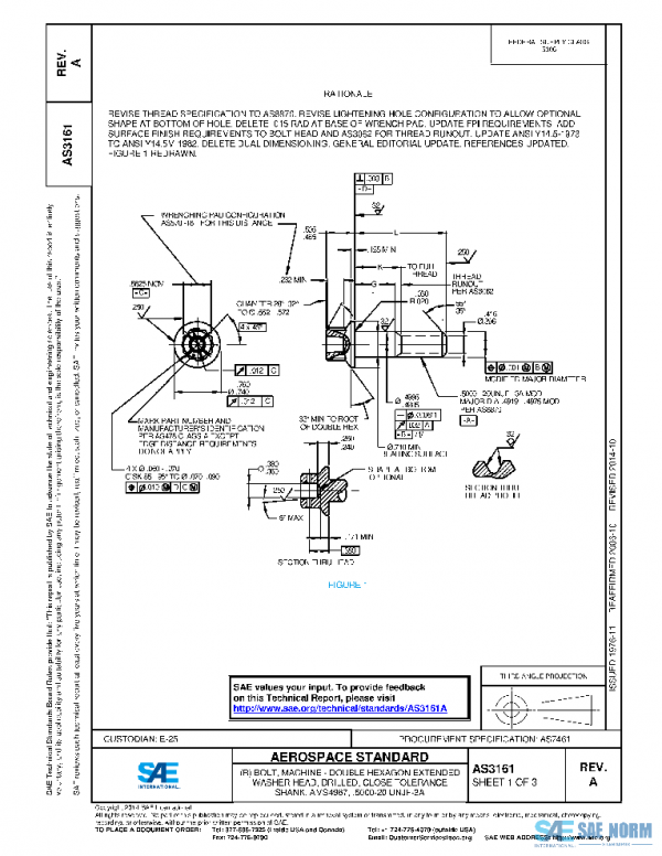SAE AS3161A PDF